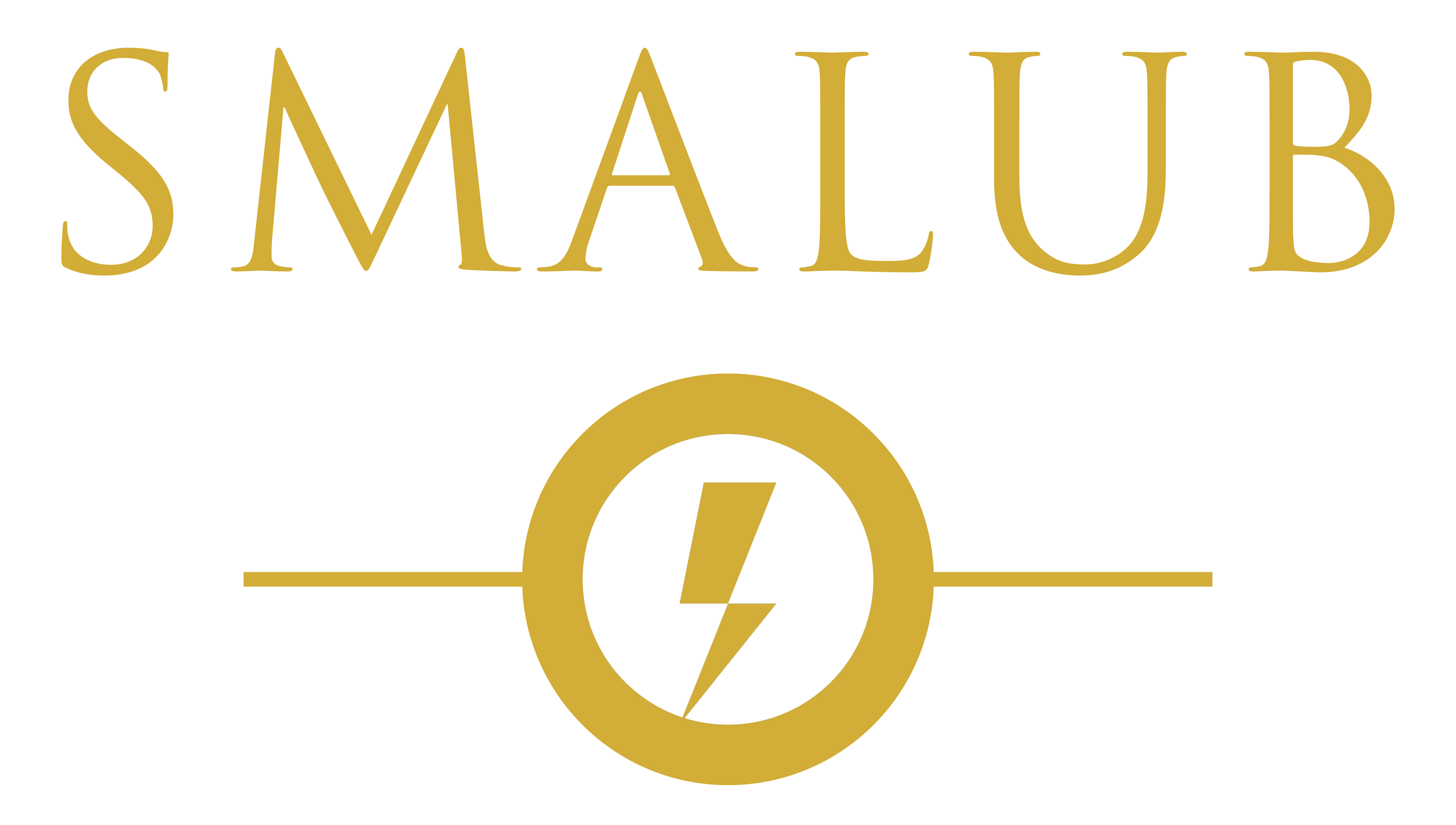 SMALUB Logo
